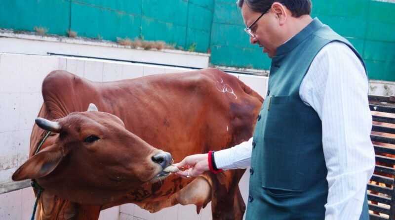 मुख्यमंत्री धामी ने गोवर्धन पूजा पर किया गौ माता का पूजन और सेवा
